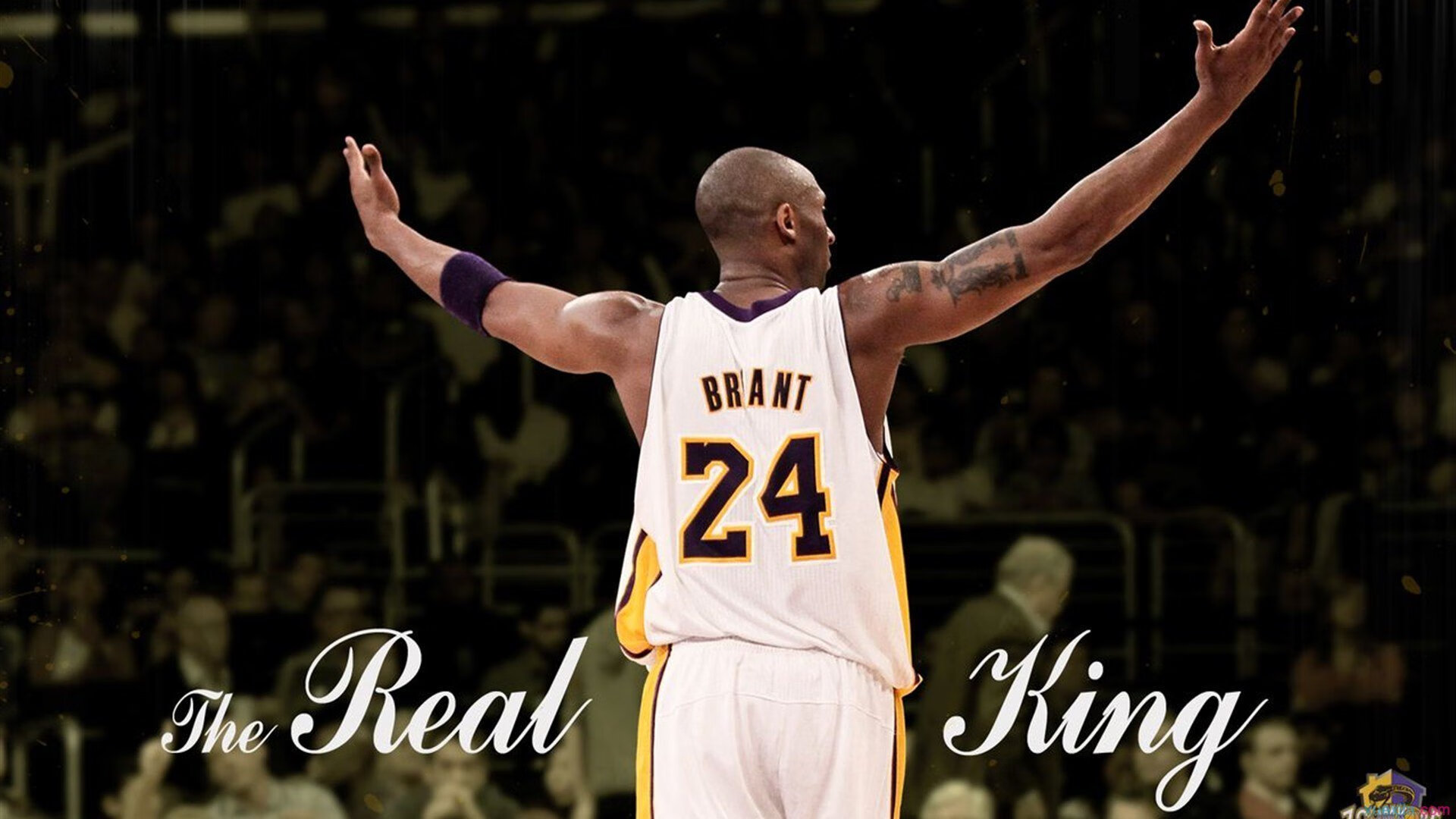 九游体育官方网站-《守望先锋》赛事对电竞教育的推动:专业课程与人才培养,守望先锋年度电竞游戏